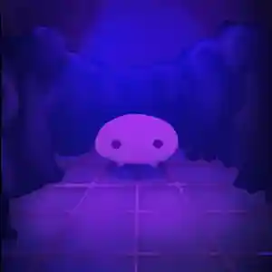 Jeb is dancing in the club