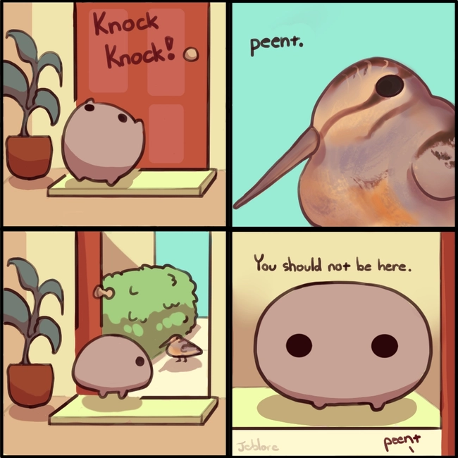 Jeb opens the door to an American Woodcock. Jeb is confused and tells the bird that he should not be here.